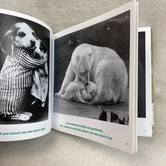 Dear Dad By Bradley Trevor Greive Paperback Non-Fiction Inspiration Humour Book - Picture 9 of 10